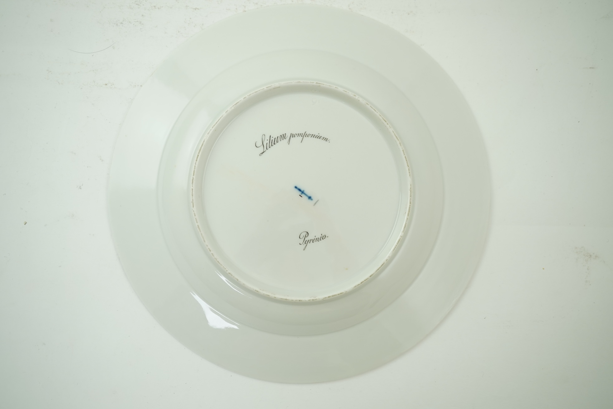 A KPM Berlin Turban lily botanical specimen plate, c.1806-9